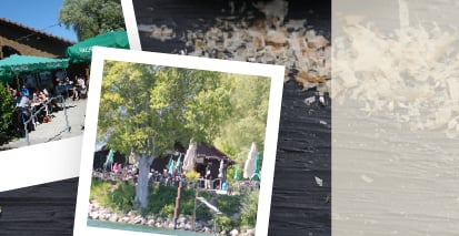 left image